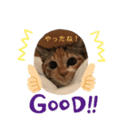 あたしTAMTAM（個別スタンプ：21）