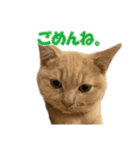 愛しのほたてとししゃも（個別スタンプ：5）