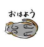 ネコとかキツネとかアヒルとか色々。（個別スタンプ：13）