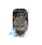 ねこズとともに（個別スタンプ：2）