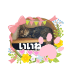 ねこズとともに（個別スタンプ：7）