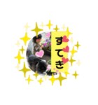 ねこズとともに（個別スタンプ：12）