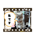 ねこズとともに（個別スタンプ：14）