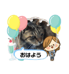 ねこズとともに（個別スタンプ：15）