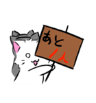 ボドゲがしたい白ねこ（個別スタンプ：7）