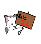 ボドゲがしたい白ねこ（個別スタンプ：8）