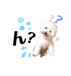 よもくん（個別スタンプ：1）