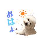 よもくん（個別スタンプ：2）