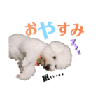 よもくん（個別スタンプ：3）