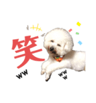 よもくん（個別スタンプ：5）