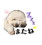 よもくん（個別スタンプ：6）