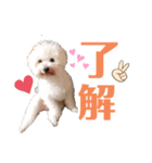 よもくん（個別スタンプ：8）