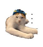 猫 一郎くん（個別スタンプ：1）