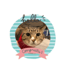 猫 一郎くん（個別スタンプ：7）