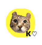 猫 一郎くん（個別スタンプ：10）