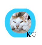 猫 一郎くん（個別スタンプ：13）