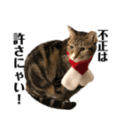 猫 一郎くん（個別スタンプ：16）