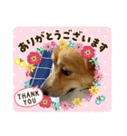 まま大好き（個別スタンプ：2）