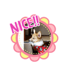 まま大好き（個別スタンプ：6）