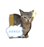 我が家の優ちゃん（個別スタンプ：3）