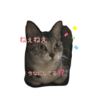 我が家の優ちゃん（個別スタンプ：5）