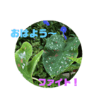 おはよう元気！（個別スタンプ：1）