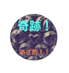 追々話すわ（個別スタンプ：4）
