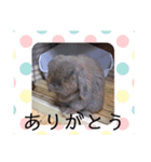 山本ホタルのスタンプ（個別スタンプ：6）
