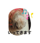 山本ホタルのスタンプ（個別スタンプ：8）