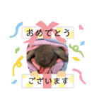 山本ホタルのスタンプ（個別スタンプ：11）
