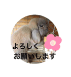 山本ホタルのスタンプ（個別スタンプ：14）