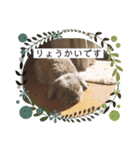 山本ホタルのスタンプ（個別スタンプ：15）