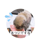 山本ホタルのスタンプ（個別スタンプ：16）
