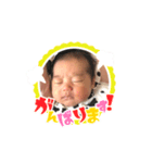 はるはるちゃんのスタンプ（個別スタンプ：15）