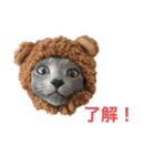 ロシアンブルー猫スタンプ（個別スタンプ：3）