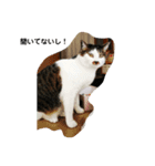 すずきゆめ（個別スタンプ：2）