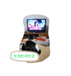 すずきゆめ（個別スタンプ：5）