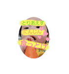 うちのこすたんぷ～ucisuta（個別スタンプ：6）