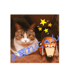 あんとわ（個別スタンプ：3）