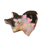 あんとわ（個別スタンプ：5）