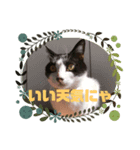 あんとわ（個別スタンプ：7）
