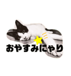 あんとわ（個別スタンプ：8）