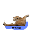 そらマロ（個別スタンプ：1）