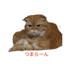 そらマロ（個別スタンプ：4）