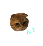 そらマロ（個別スタンプ：7）