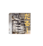モモチラの日常（個別スタンプ：7）
