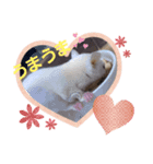 モモチラの日常（個別スタンプ：8）
