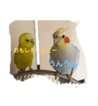 チビちゃん達の日常（個別スタンプ：5）