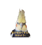 チビちゃん達の日常（個別スタンプ：6）