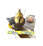 チビちゃん達の日常（個別スタンプ：7）